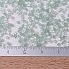 MIYUKI Delica Beads X-SEED-J020-DB0829-4