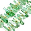 Electroplated Natural Quartz Crystal Beads Strands G-F800-F16-1