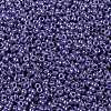 MIYUKI Round Rocailles Beads SEED-JP0010-RR0434-3