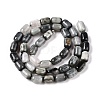 Natural Eagle Eye Stone Beads Strands G-G980-43-3