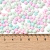 6/0 Opaque Baking Paint Glass Seed Beads SEED-M012-02A-33-4