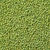 12/0 Glass Seed Beads X2-SEED-A010-2mm-44-2