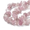 Natural Madagascar Rose Quartz Beads Strands G-O187-01-5