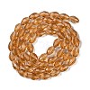Glass Beads Strands X-GLAA-R024-11x8mm-17-2