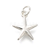 925 Sterling Silver Charms STER-Q003-01C-S-1