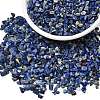 Natural Lapis Lazuli Chip Beads G-L453-05-2