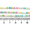 Handmade Lampwork Beads Strands LAMP-L078-008I-4