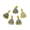 Natural Labradorite Pendants G-O176L-05G-1