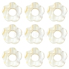 20Pcs Freshwater Shell Beads Frames SHEL-YW0001-08-1