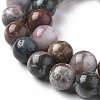 Natural Ocean Jasper Beads Strands G-F668-26-10mm-3