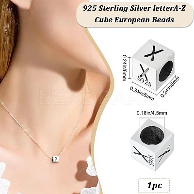 Sterling Silver Beads STER-WH20009-04X-P-1