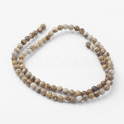 Natural Picture Jasper Bead Strands G-G735-16-4mm-1
