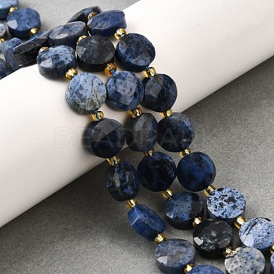 Natural Dumortierite Beads Strands G-B094-A36-01-1