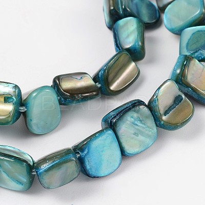 Shell Beads Strands PBB051Y-1