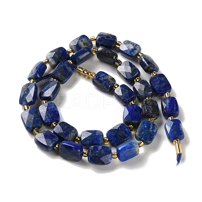 Natural Lapis Lazuli Beads Strands G-H061-A07-01-1