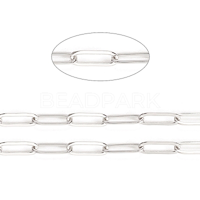 Non-Tarnish 3.28 Feet 304 Stainless Steel Paperclip Chains X-STAS-K209-07P-1