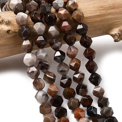 Natural Petrified Wood Beads Strands G-Z119-A21-01-1