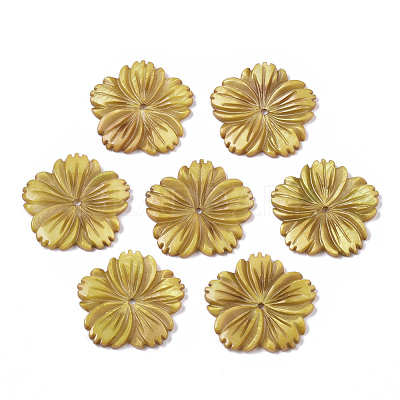 Natural Freshwater Shell Beads SHEL-N026-10-1