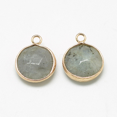 Natural Labradorite Pendants G-Q964-12G-1