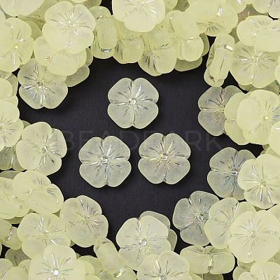 Frosted Transparent Acrylic Beads X1-OACR-P029-19B-03-1