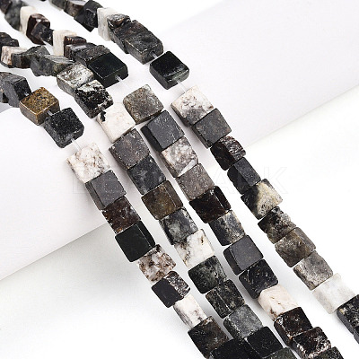 Natural Biotite Beads Strands G-N346-05A-01-1
