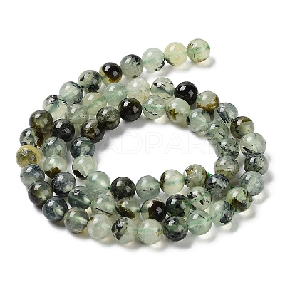 Natural Prehnite Beads Strands G-P322-48-6mm-01-1