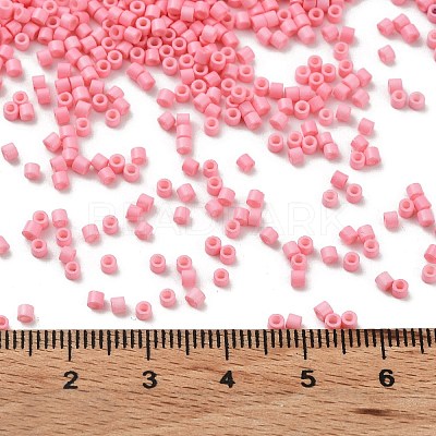 Baking Paint Glass Seed Beads X-SEED-S042-05B-86-1
