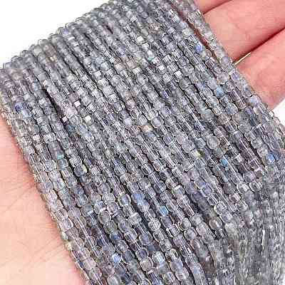 Natural Labradorite Beads Strands G-L597-A01-01-1