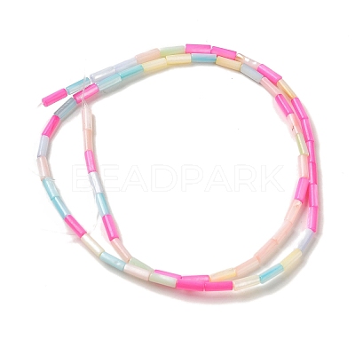 Rainbow Color Dyed Natural Freshwater Shell Beads Strands X1-SHEL-G018-02A-1