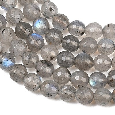 Natural Labradorite Beads Strands G-O176-04B-1