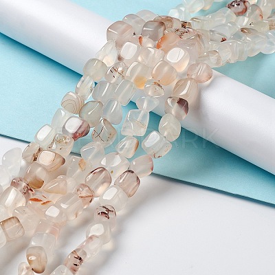 Natural Agate Beads Strands G-F745-01-1