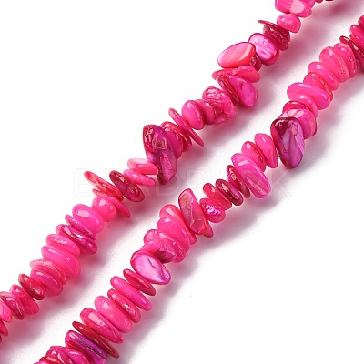 Natural Freshwater Shell Beads Strands BSHE-I016-01G-1