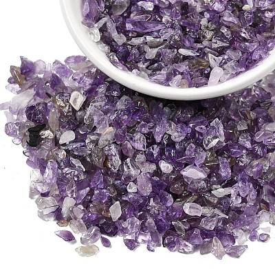 Natural Amethyst Chip Beads G-L453-06-1