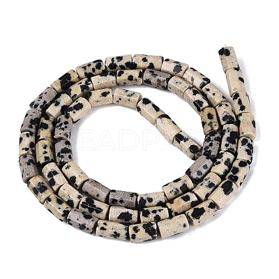 Natural Dalmatian Jasper Beads Strands GG-N002-01A-07-1
