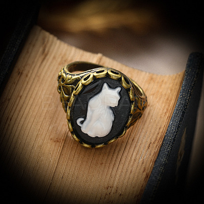 Alloy with Resin Finger Rings FS-WGE901F-03-1