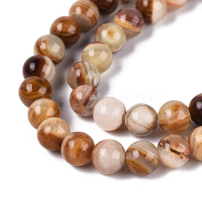 Natural Wood Lace Stone Wooden Jasper Beads Strands G-B128-A04-02-1