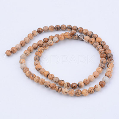 Natural Picture Jasper Beads Strands G-Q462-10mm-35-1