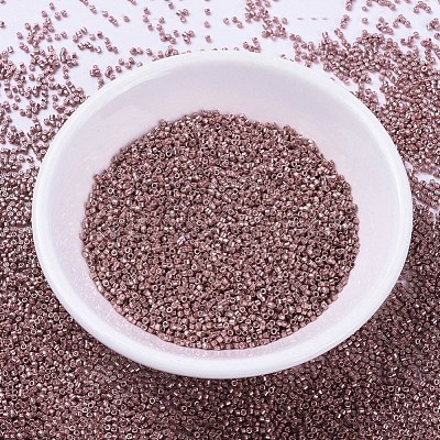 MIYUKI Delica Beads SEED-X0054-DB0423-1