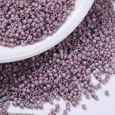 MIYUKI Delica Beads Small SEED-X0054-DBS0379-1