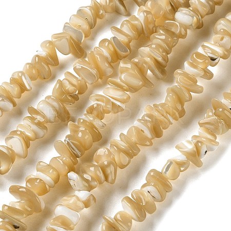 Natural Trochus Shell Beads Strands SHEL-G020-01-1
