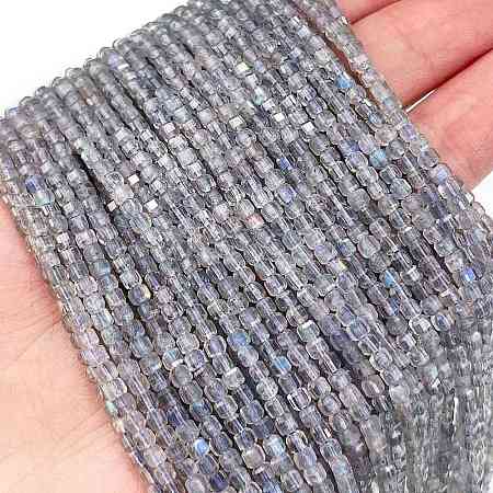 Natural Labradorite Beads Strands G-L597-A01-01-1