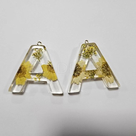 Transparent Epoxy Resin Pendants CRES-YW0002-12A-1