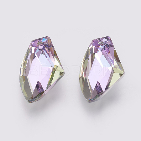 K9 Glass Rhinestone Pendants GLAA-K034-D02-1