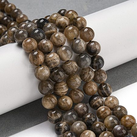 Natural Black Moonstone Beads Strands G-Q183-A01-02-1