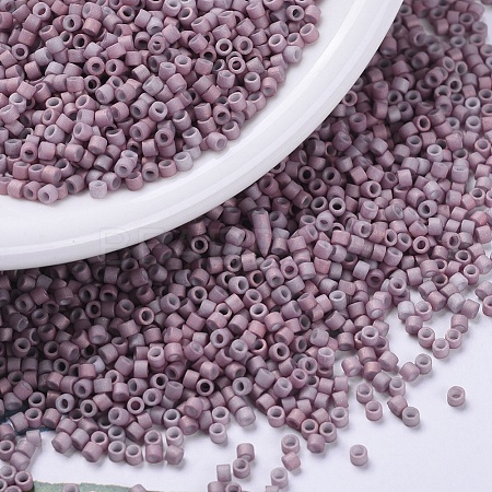 MIYUKI Delica Beads Small SEED-X0054-DBS0379-1