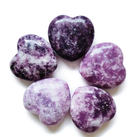 Natural Lepidolite Display Decorations X-PW-WG37563-09-1