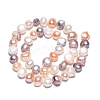 Natural Cultured Freshwater Pearl Beads Strands PEAR-N014-08E-01-3