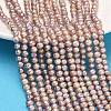Natural Cultured Freshwater Pearl Beads Strands PEAR-L034-09D-1