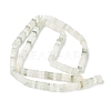 Natural Tianshan Cui Quartzite Beads Strands G-I394-A05-3