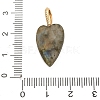 Natural Labradorite Pendants LS-G-C290-01D-3